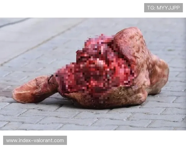 莱比锡队刊内容惹争议 球迷强烈不满发起集体抵制