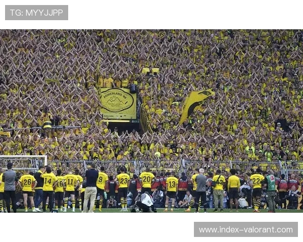 欧冠主题球迷活动扩展，新增10城市线下观赛点